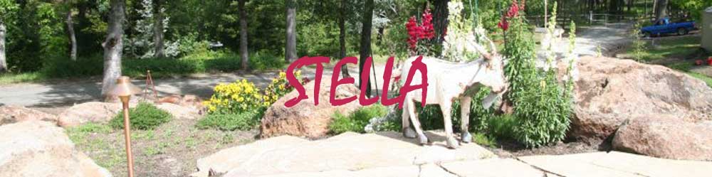 Stella's Page