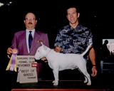 Sahuaro Kennel Club 2000